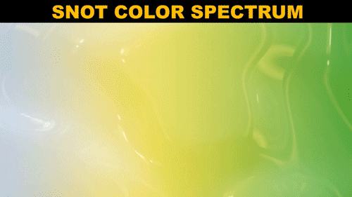 GIF of the snot color spectrum with a mouse hovering between a clear healthy snot color and a green you're sick snot color.
